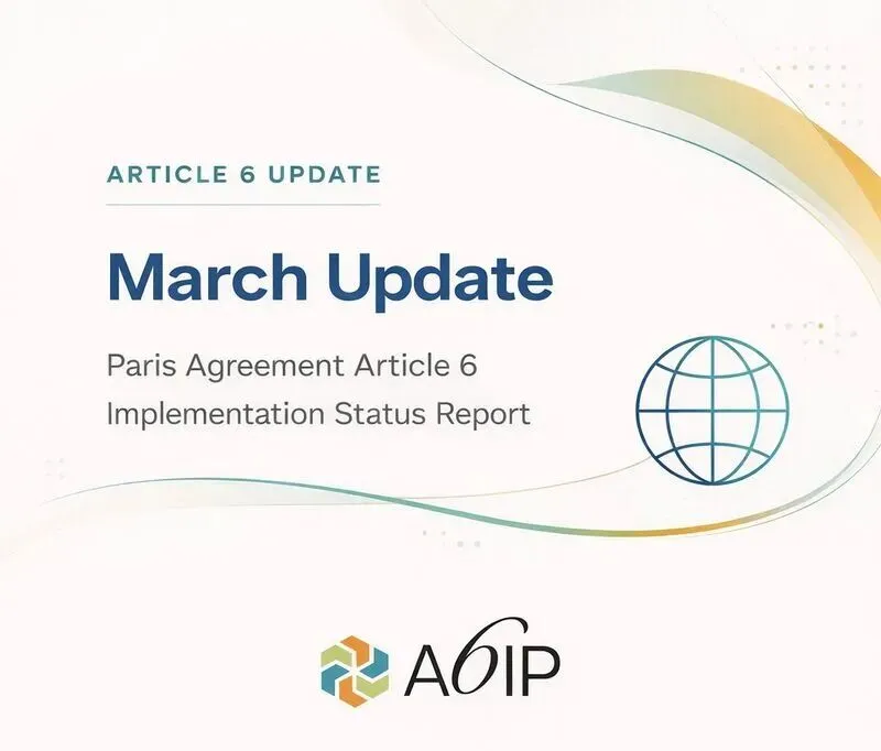 碳市场的“三重博弈”:巴黎协定第六条背后,谁在制定规则?谁将出局?