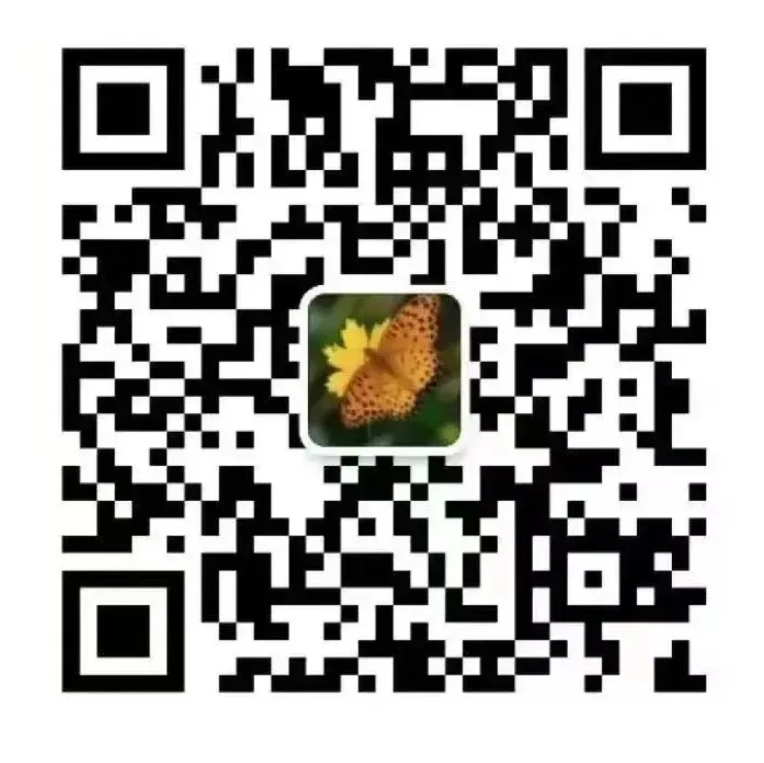 工程企业AI提效300%研修课—办公+营销+管理全场景AI课