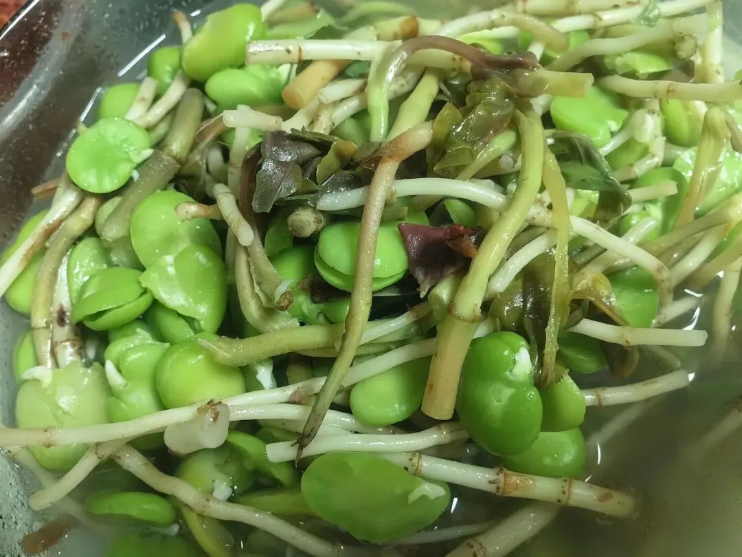 农贸市场的春色