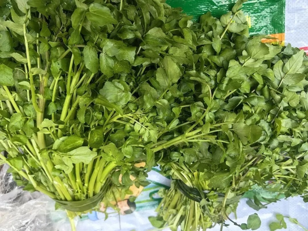 农贸市场的春色