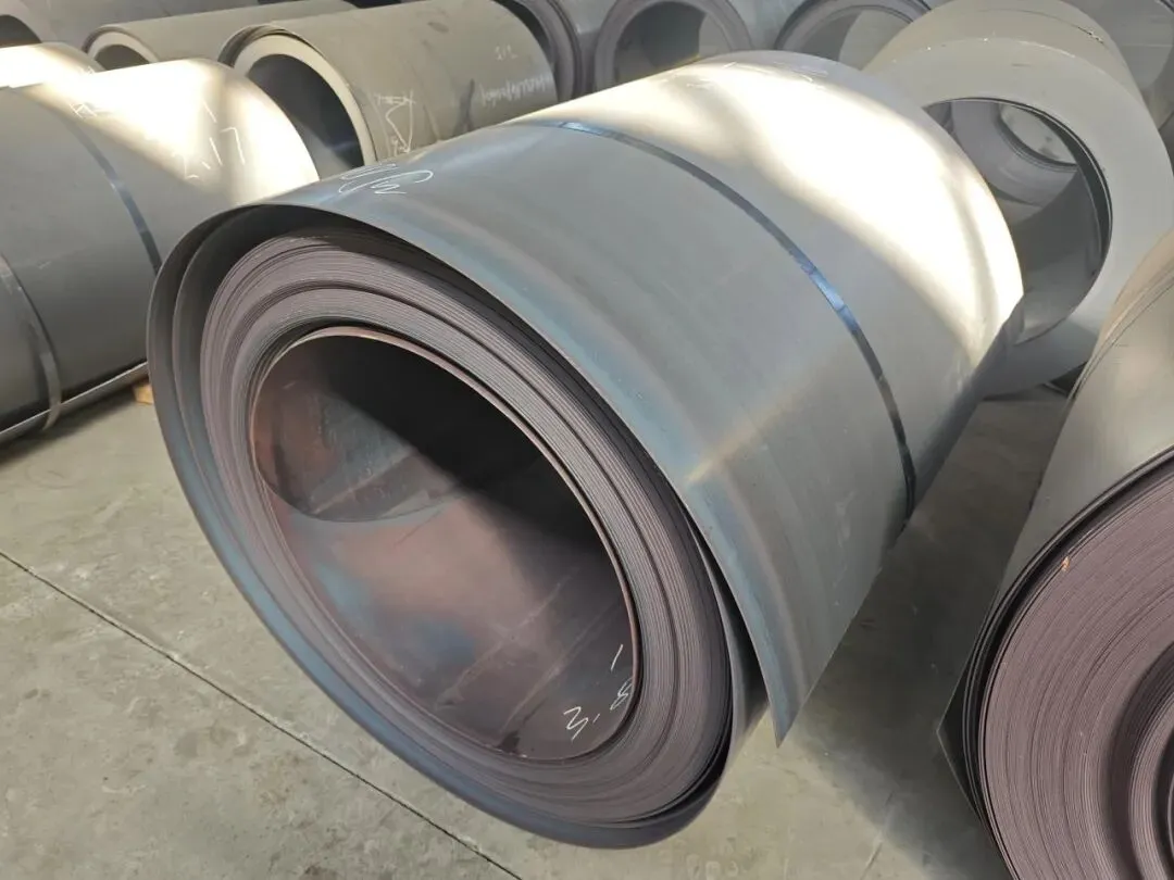 【销售预告】3月24日销售预告