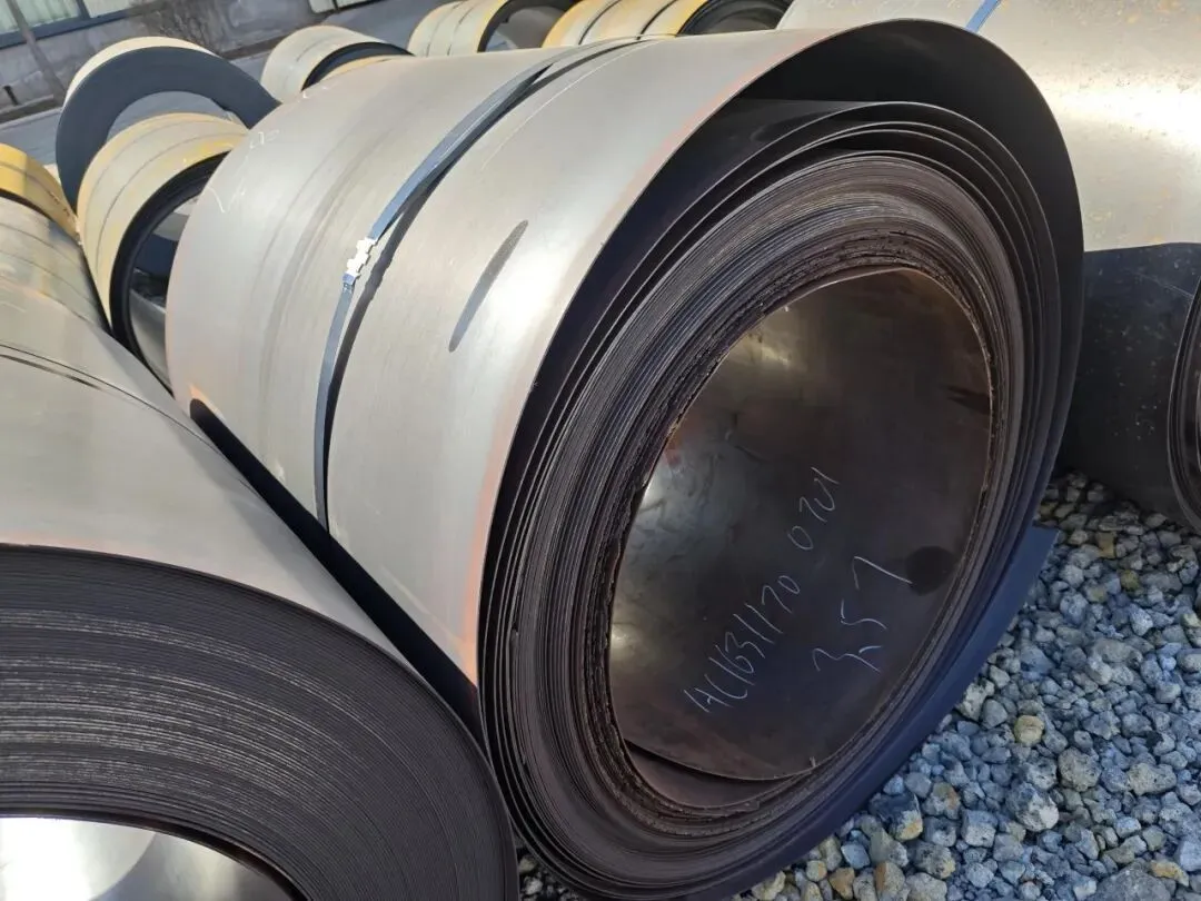 【销售预告】3月24日销售预告