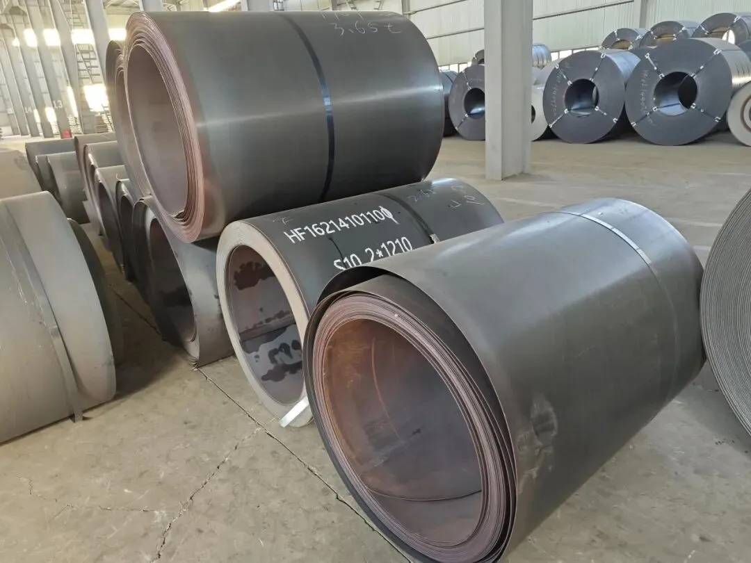 【销售预告】3月24日销售预告