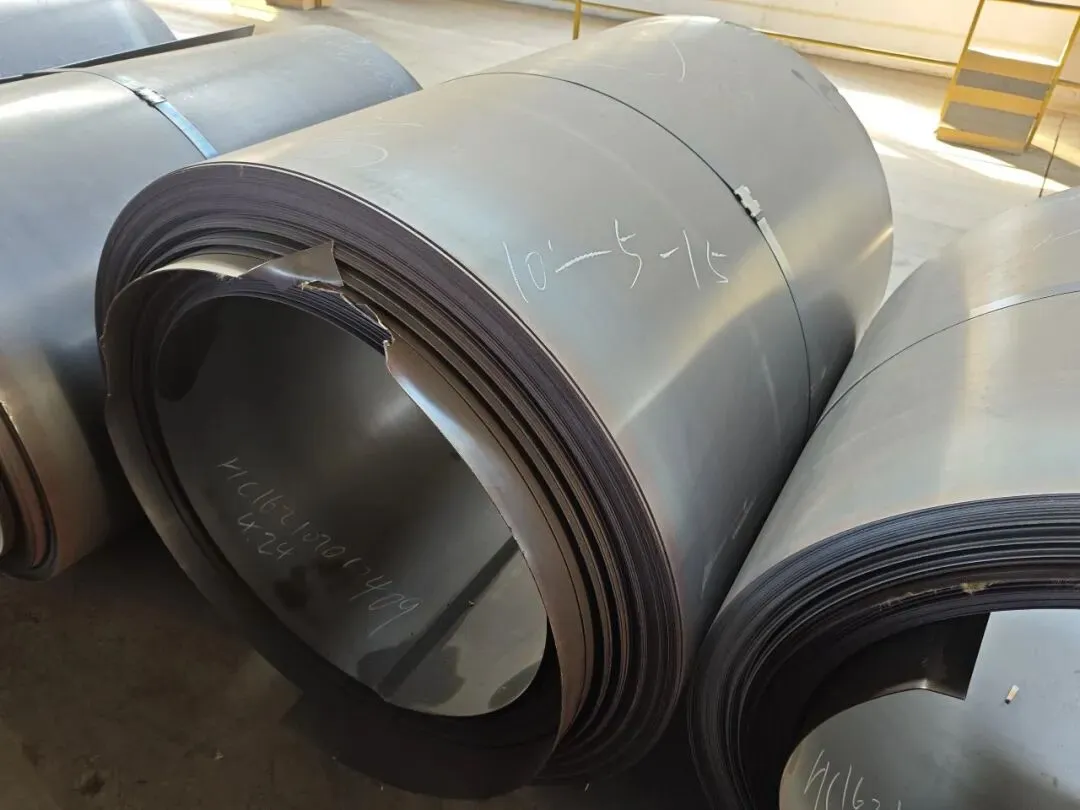 【销售预告】3月24日销售预告