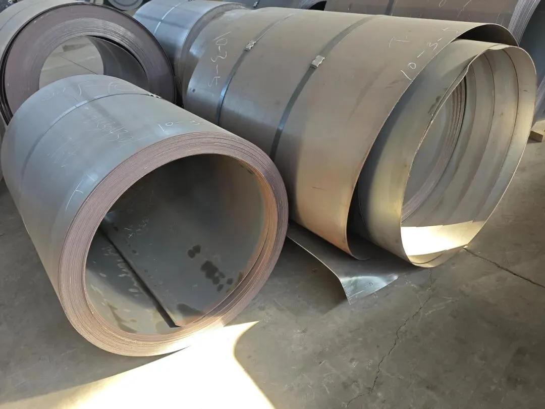 【销售预告】3月24日销售预告