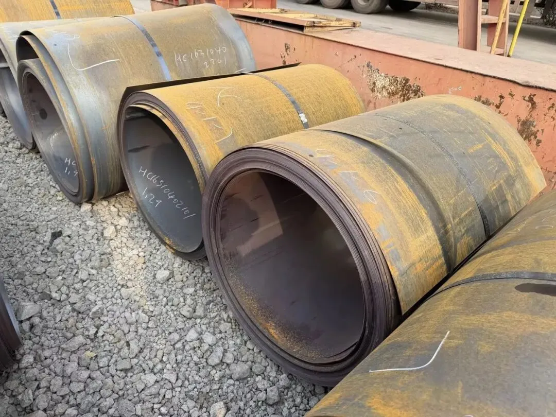 【销售预告】3月24日销售预告