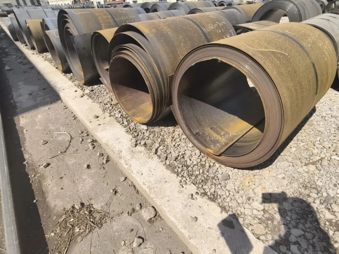 【销售预告】3月24日销售预告