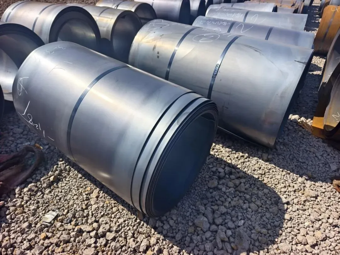 【销售预告】3月24日销售预告