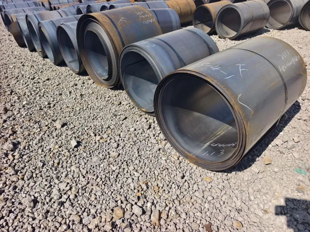 【销售预告】3月24日销售预告