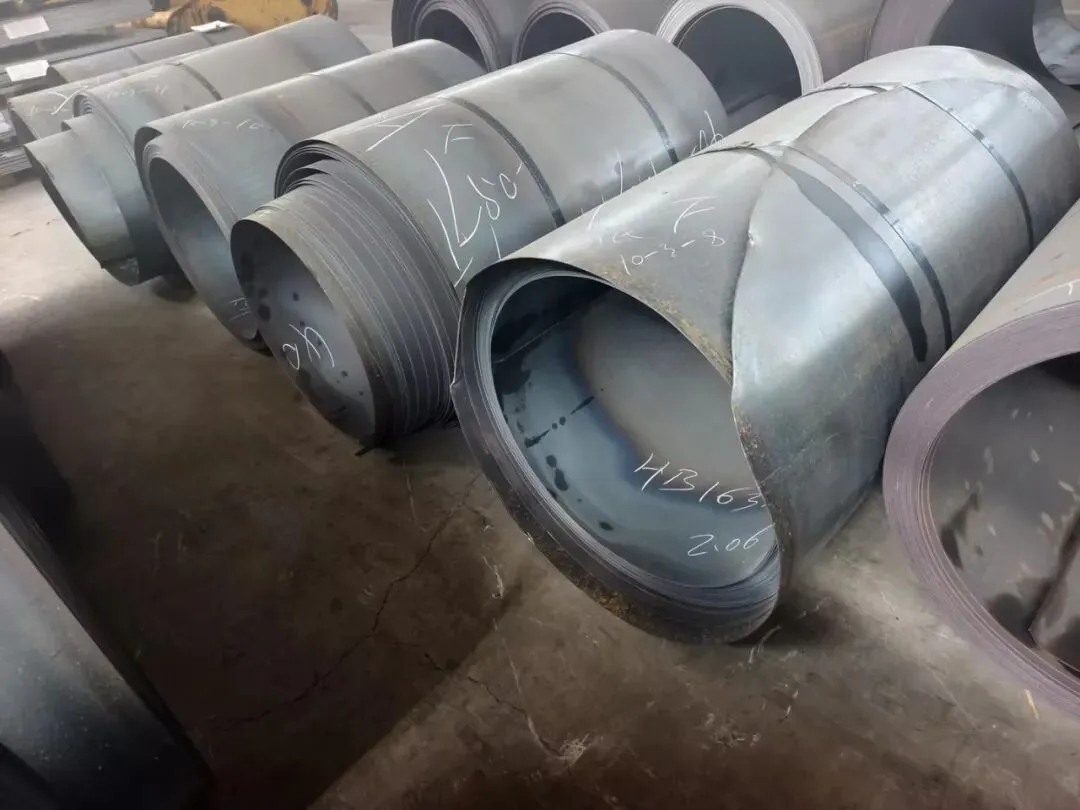 【销售预告】3月24日销售预告