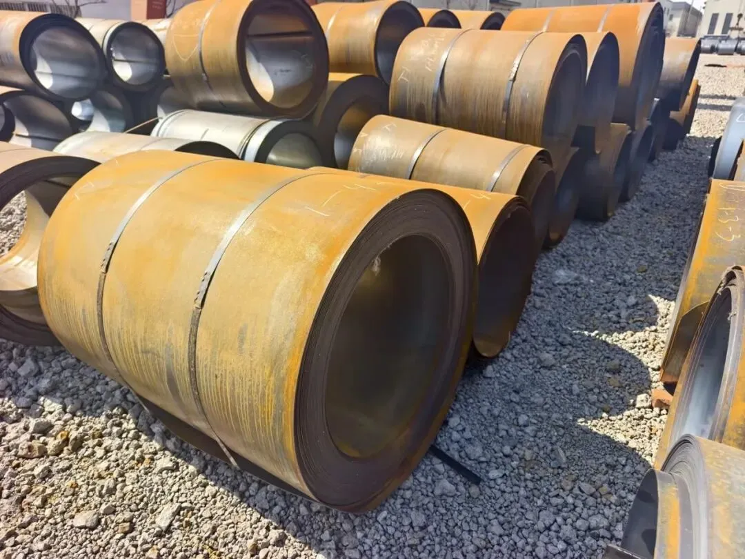 【销售预告】3月24日销售预告