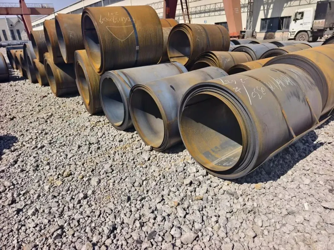 【销售预告】3月24日销售预告