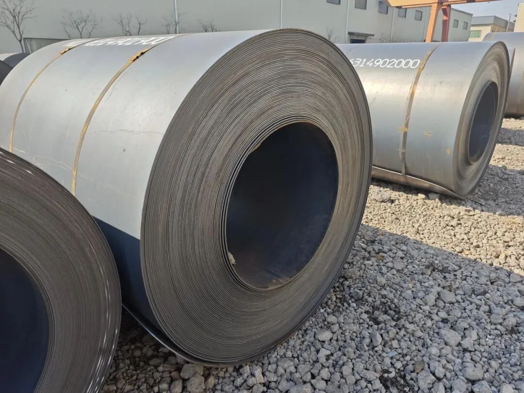 【销售预告】3月24日销售预告