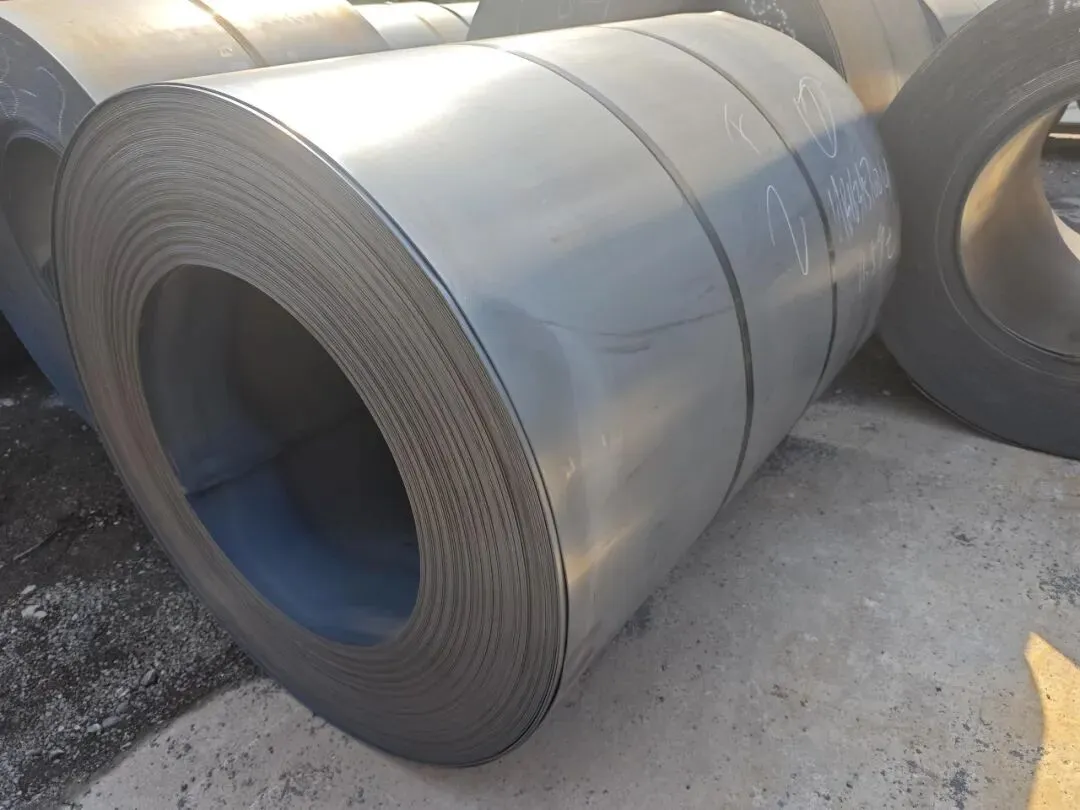 【销售预告】3月24日销售预告