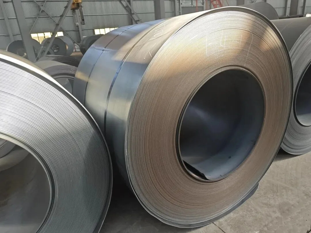 【销售预告】3月24日销售预告