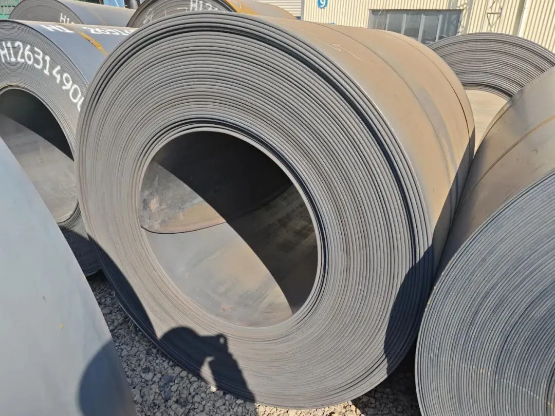 【销售预告】3月24日销售预告