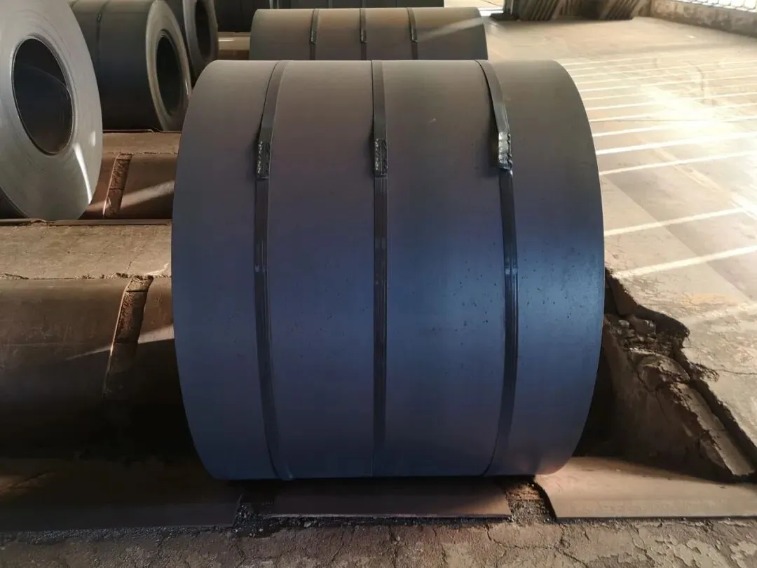 【销售预告】3月24日销售预告