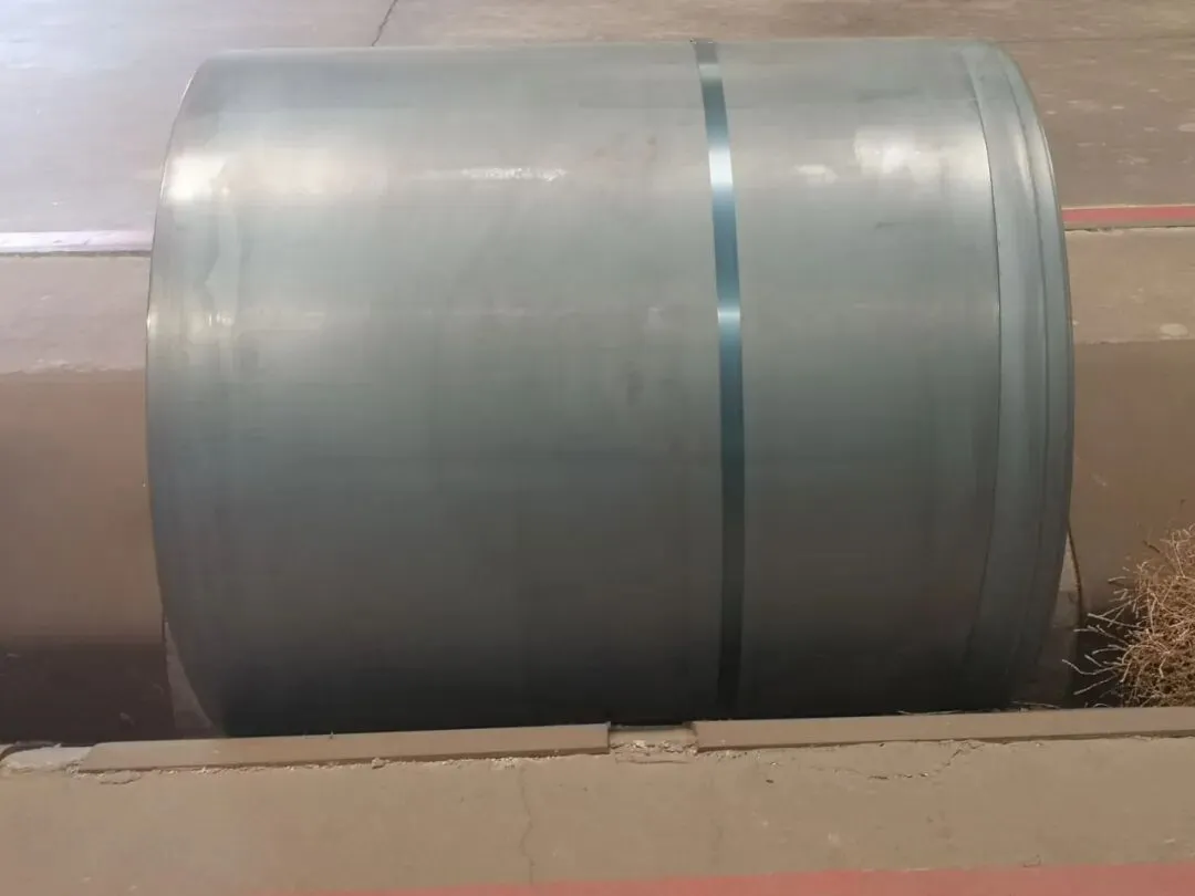 【销售预告】3月24日销售预告