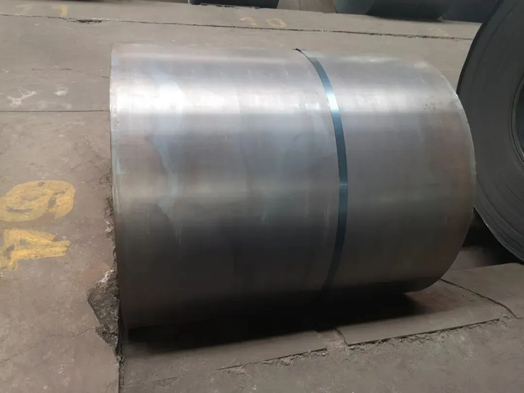 【销售预告】3月24日销售预告