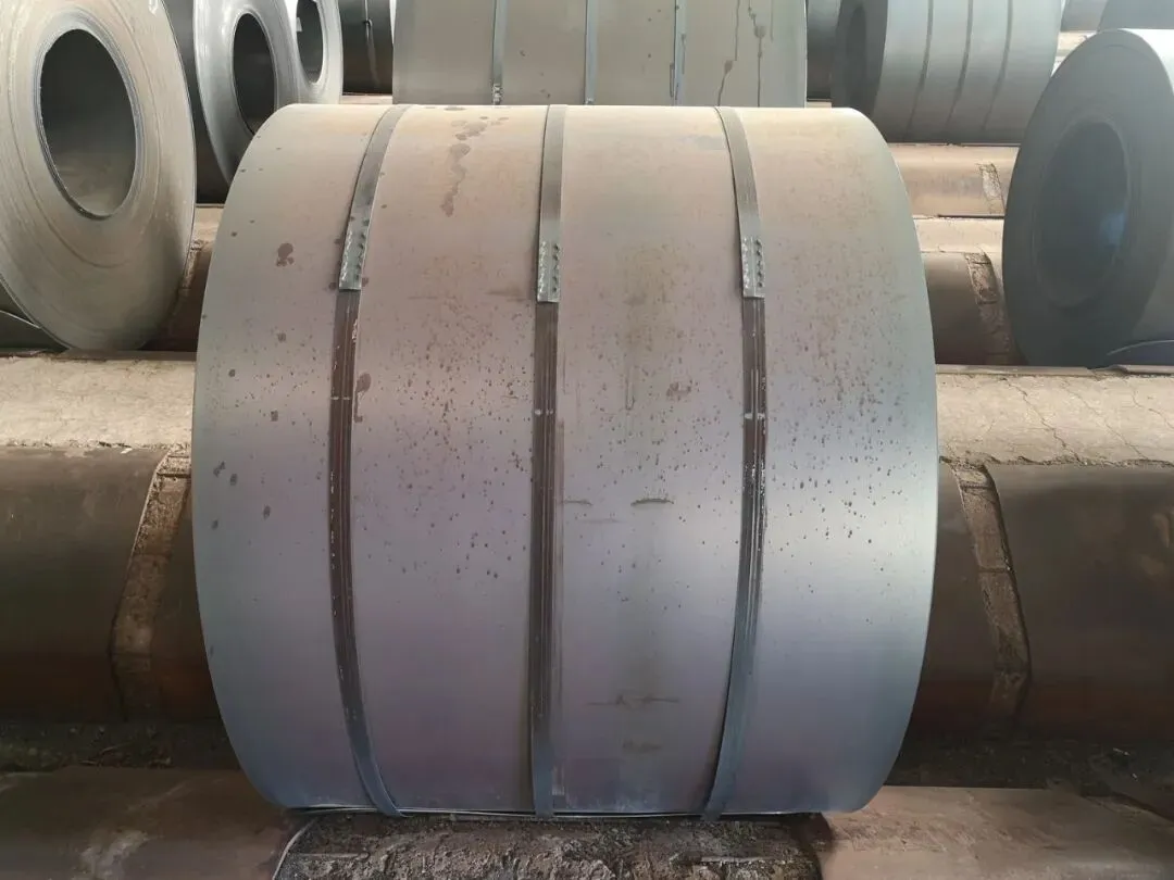 【销售预告】3月24日销售预告