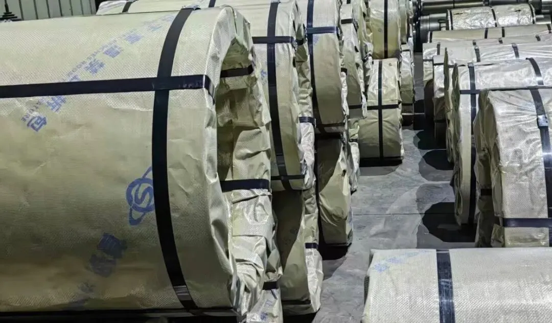 【销售预告】3月24日销售预告