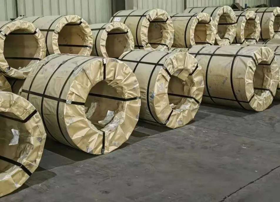 【销售预告】3月24日销售预告