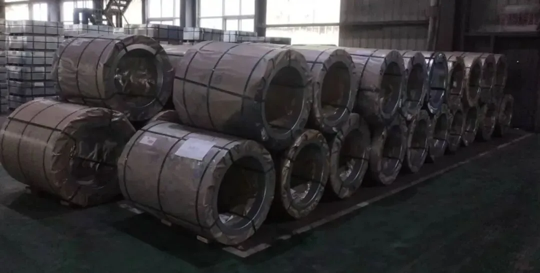 【销售预告】3月24日销售预告