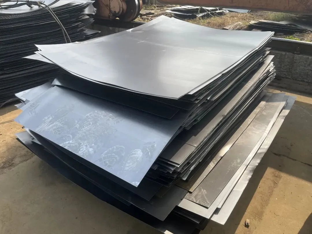 【销售预告】3月24日销售预告