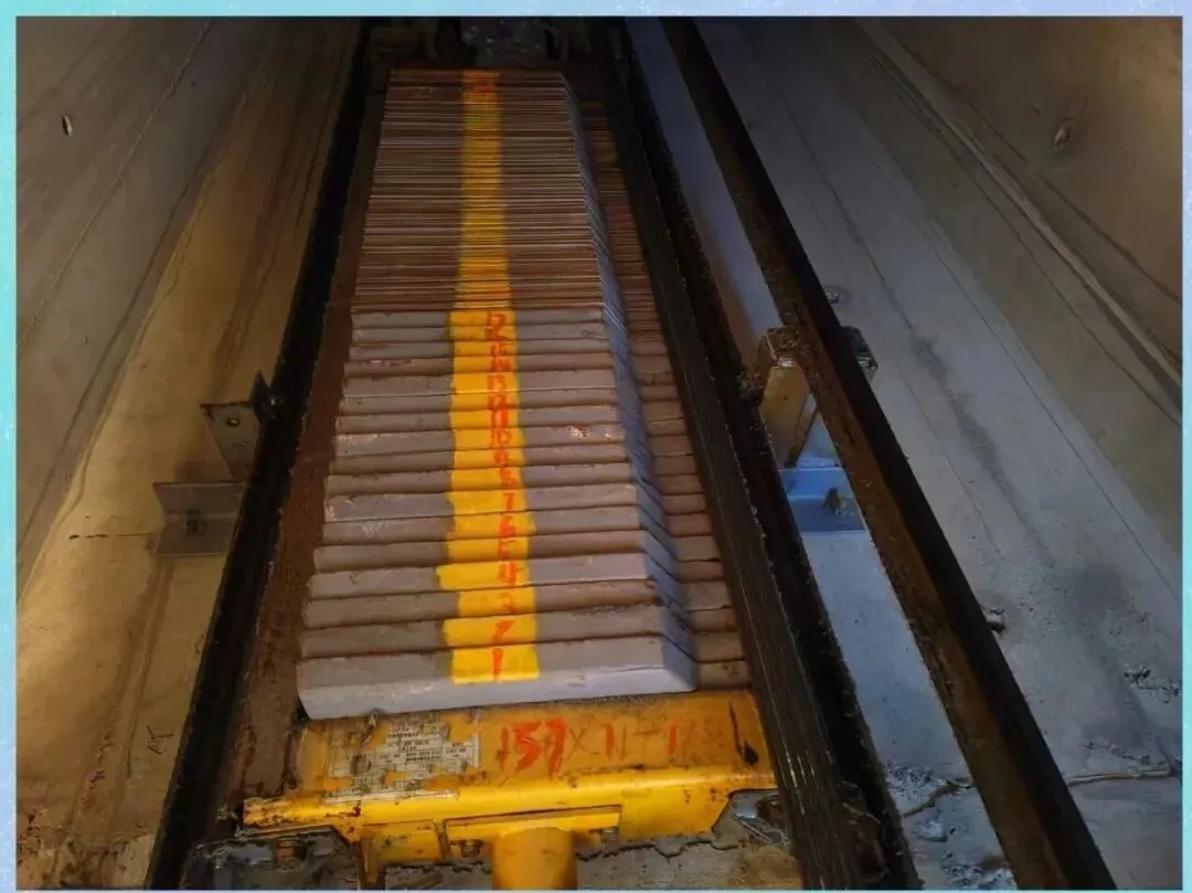 【销售预告】3月24日销售预告