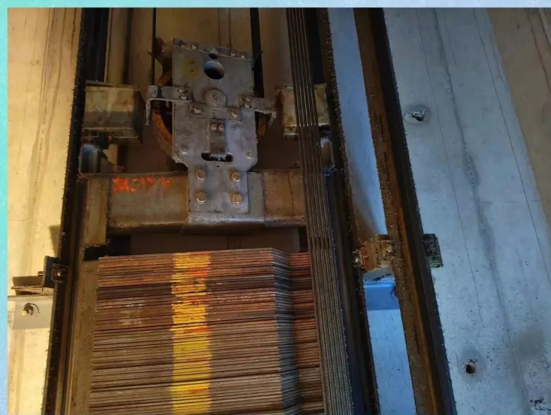 【销售预告】3月24日销售预告