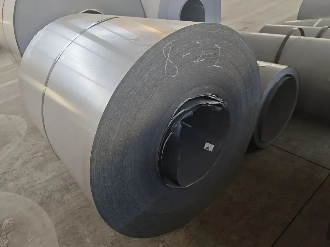 【销售预告】3月24日销售预告