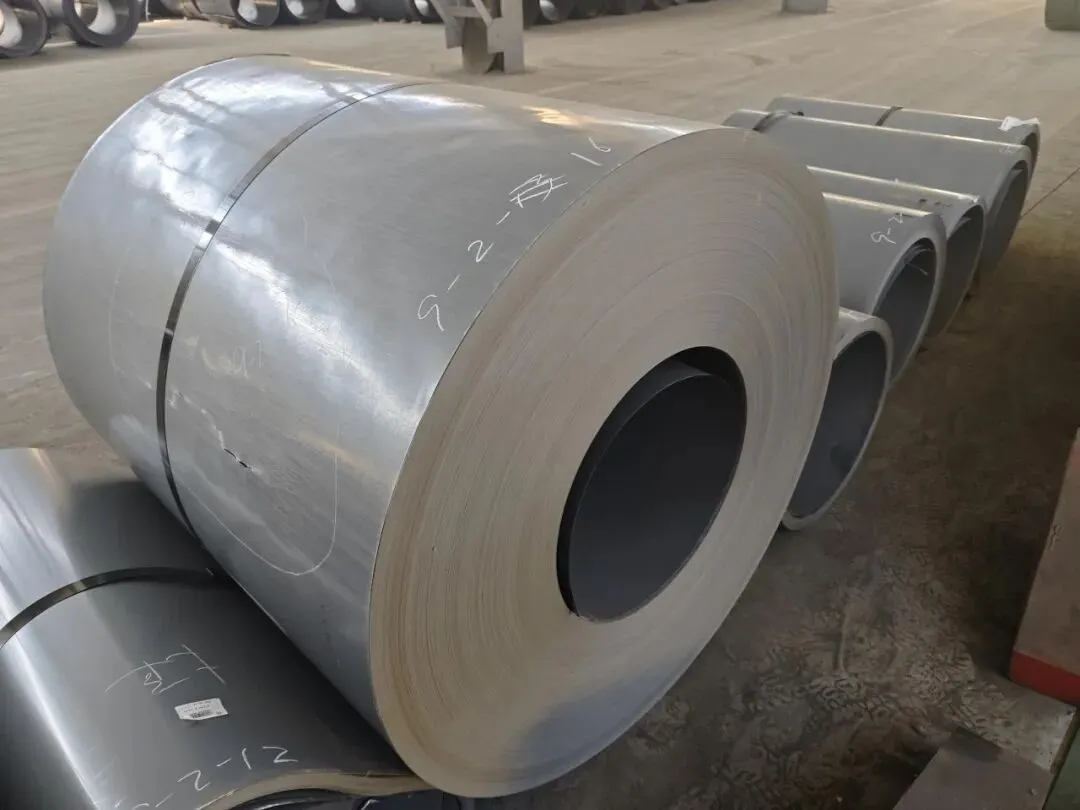 【销售预告】3月24日销售预告