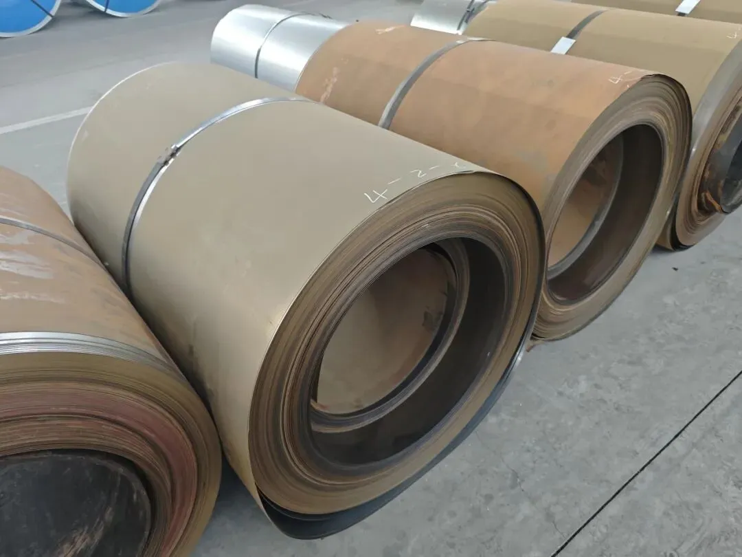 【销售预告】3月24日销售预告