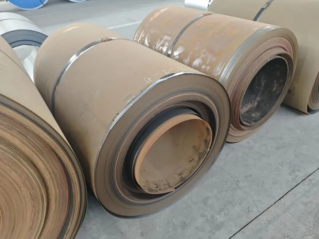 【销售预告】3月24日销售预告