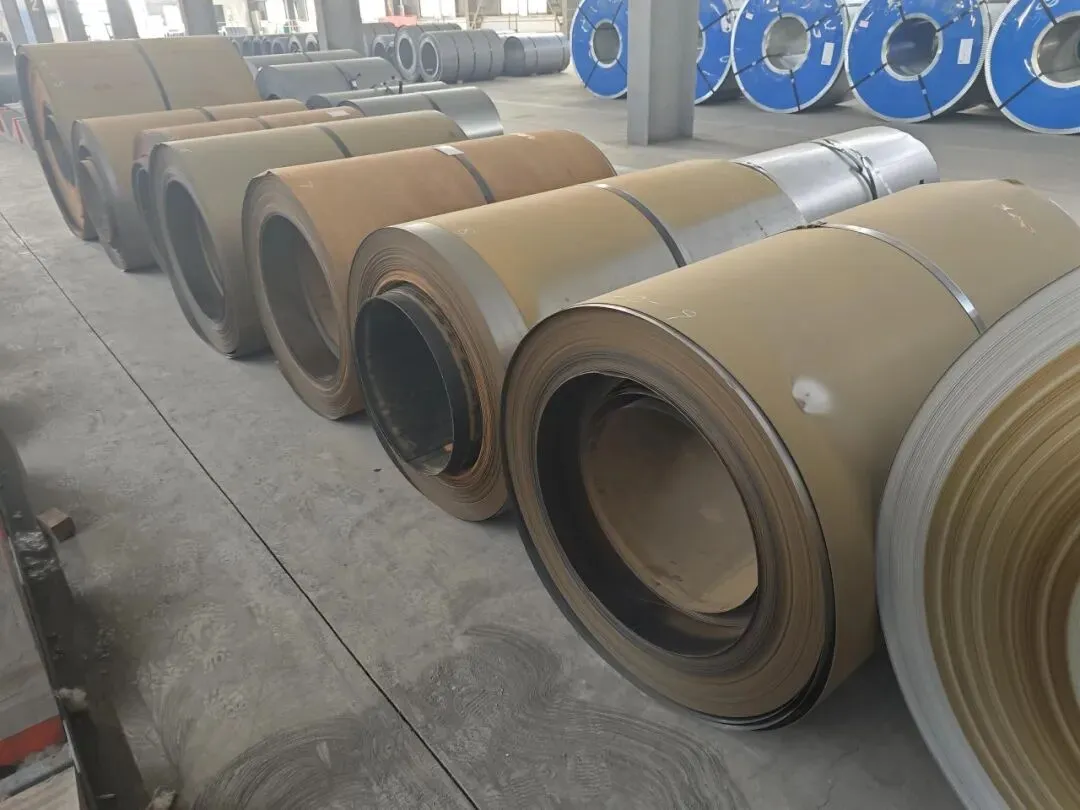 【销售预告】3月24日销售预告