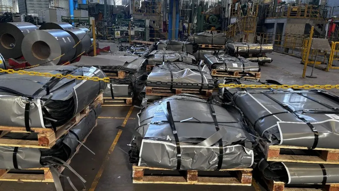 【销售预告】3月24日销售预告