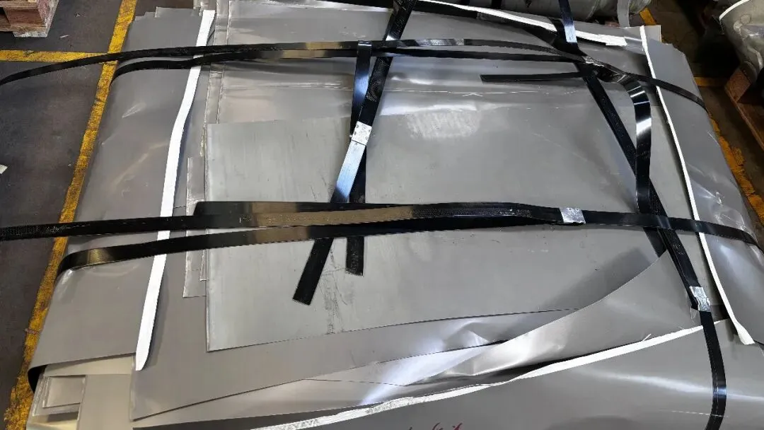 【销售预告】3月24日销售预告