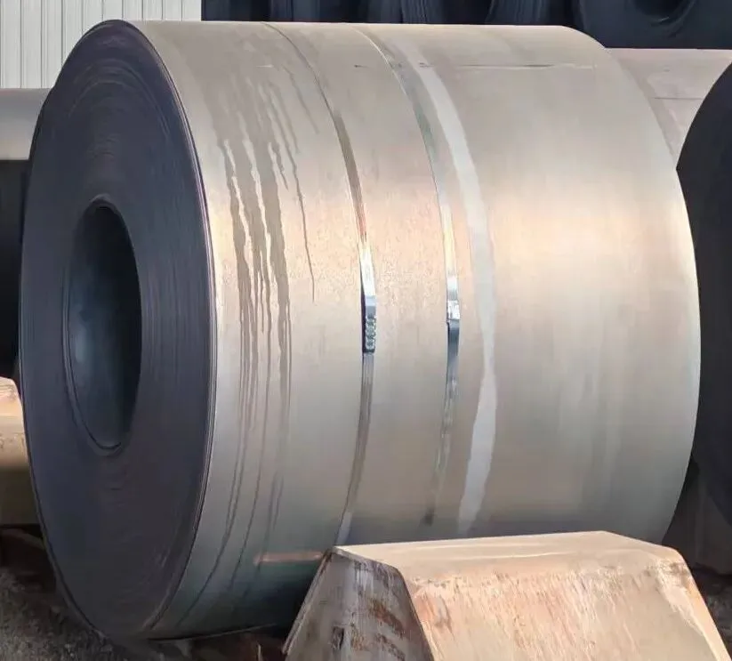 【销售预告】3月24日销售预告