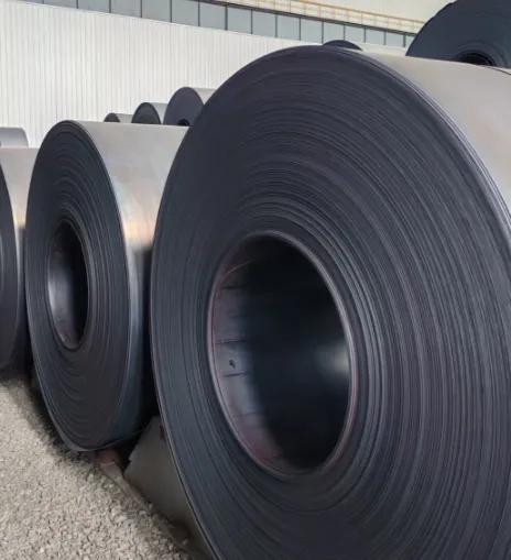 【销售预告】3月24日销售预告