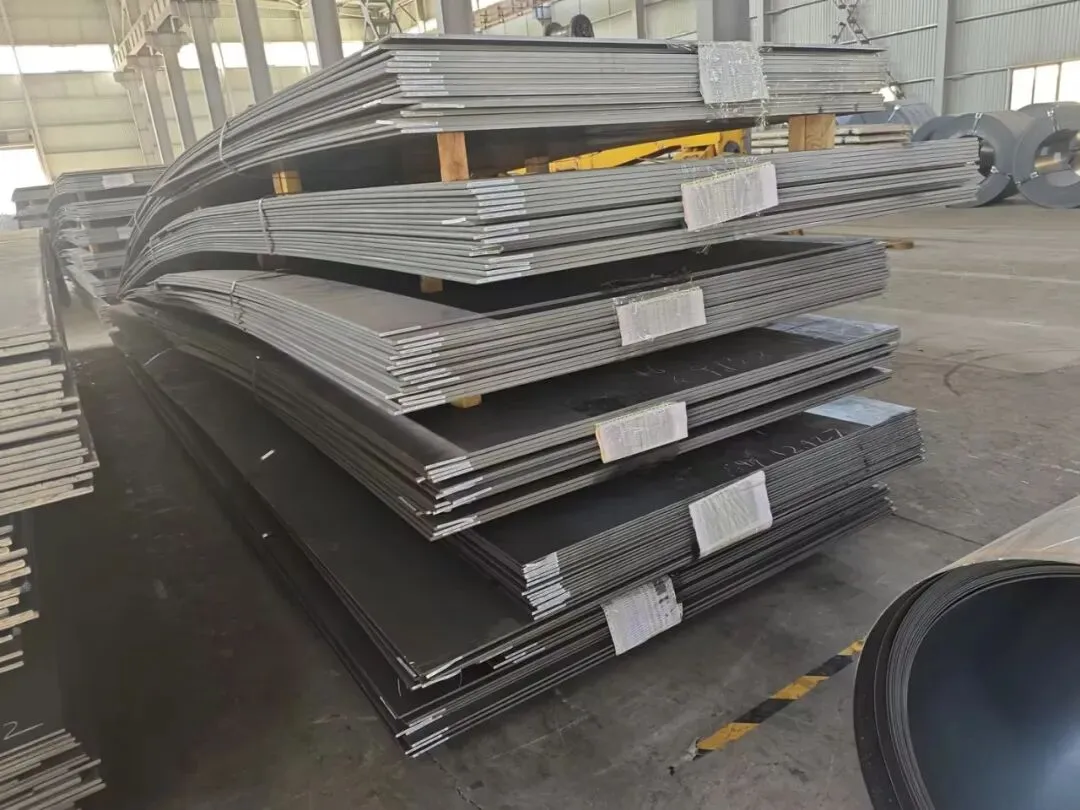 【销售预告】3月24日销售预告