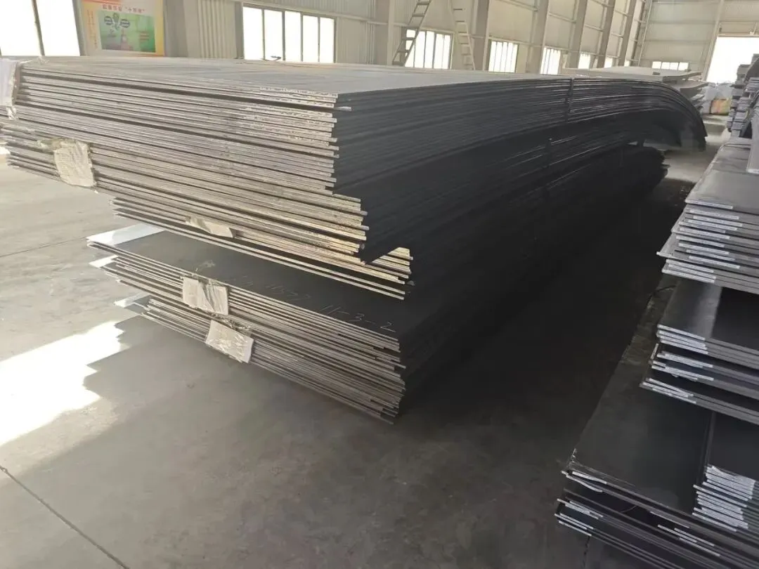 【销售预告】3月24日销售预告