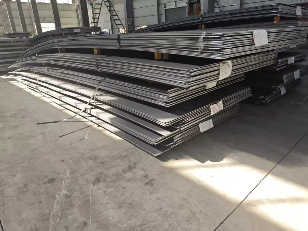 【销售预告】3月24日销售预告