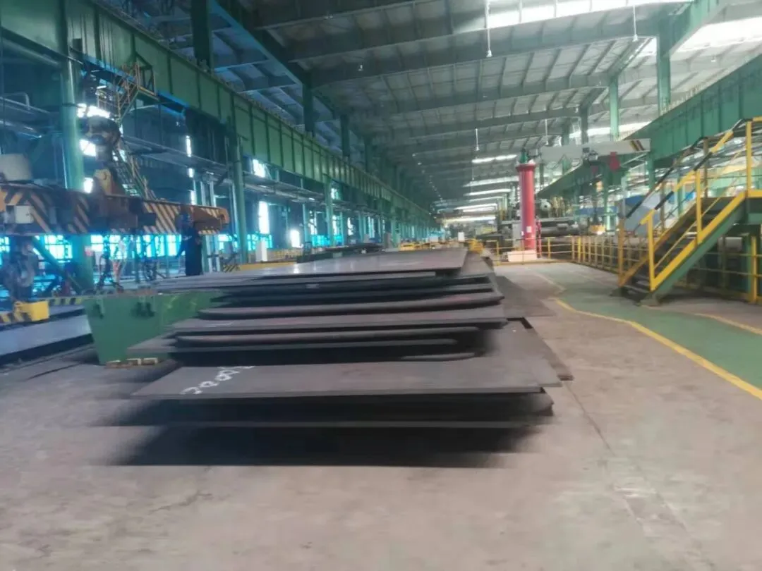 【销售预告】3月24日销售预告