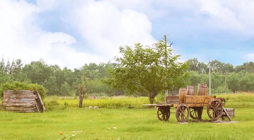 凡朴农场:“田园摄影”打开中老年消费市场,年增收50%!