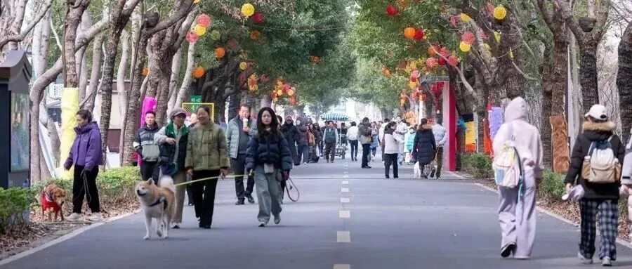 招商市场公交车站旁行人通行不便,顺康苑小区电梯内有不文明行为?回应来了→