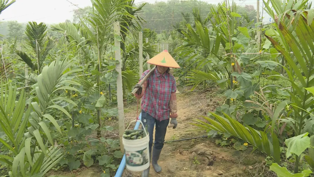 【乡村振兴】南吕镇郭石村:紧跟市场需求 发展村集体产业