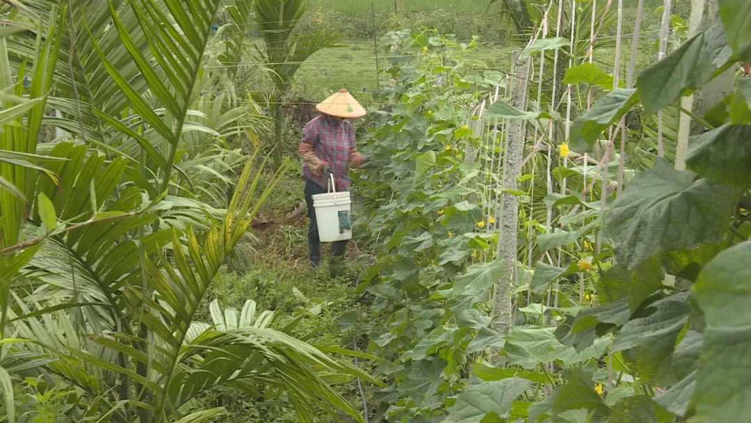 【乡村振兴】南吕镇郭石村:紧跟市场需求 发展村集体产业