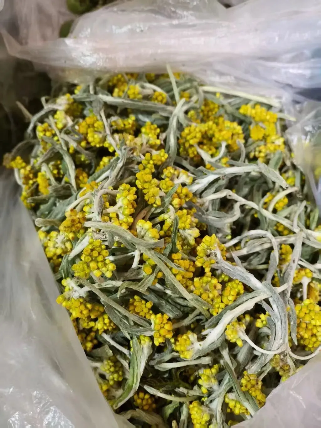 春天里的昆明“篆新农贸市场”