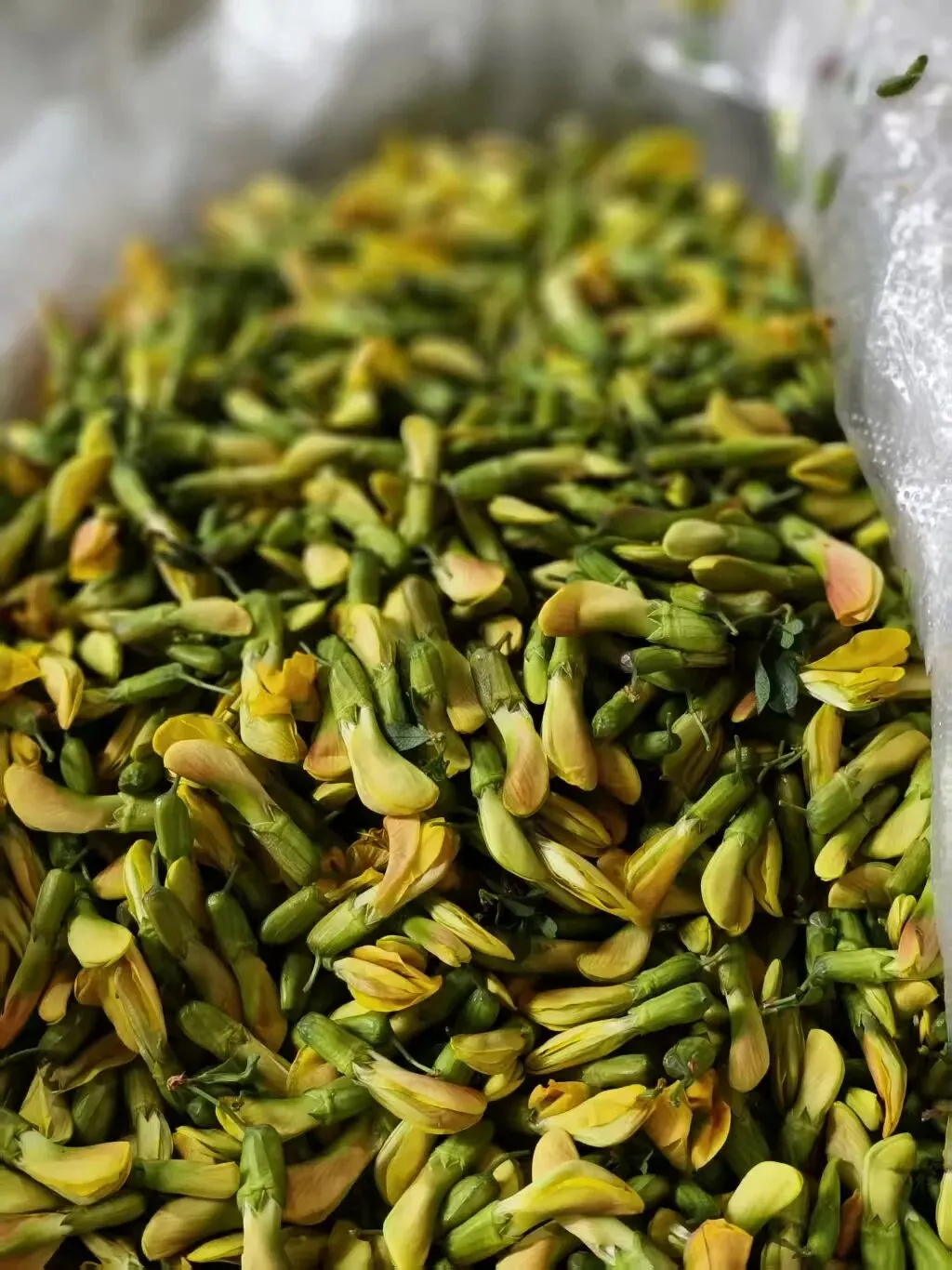 春天里的昆明“篆新农贸市场”