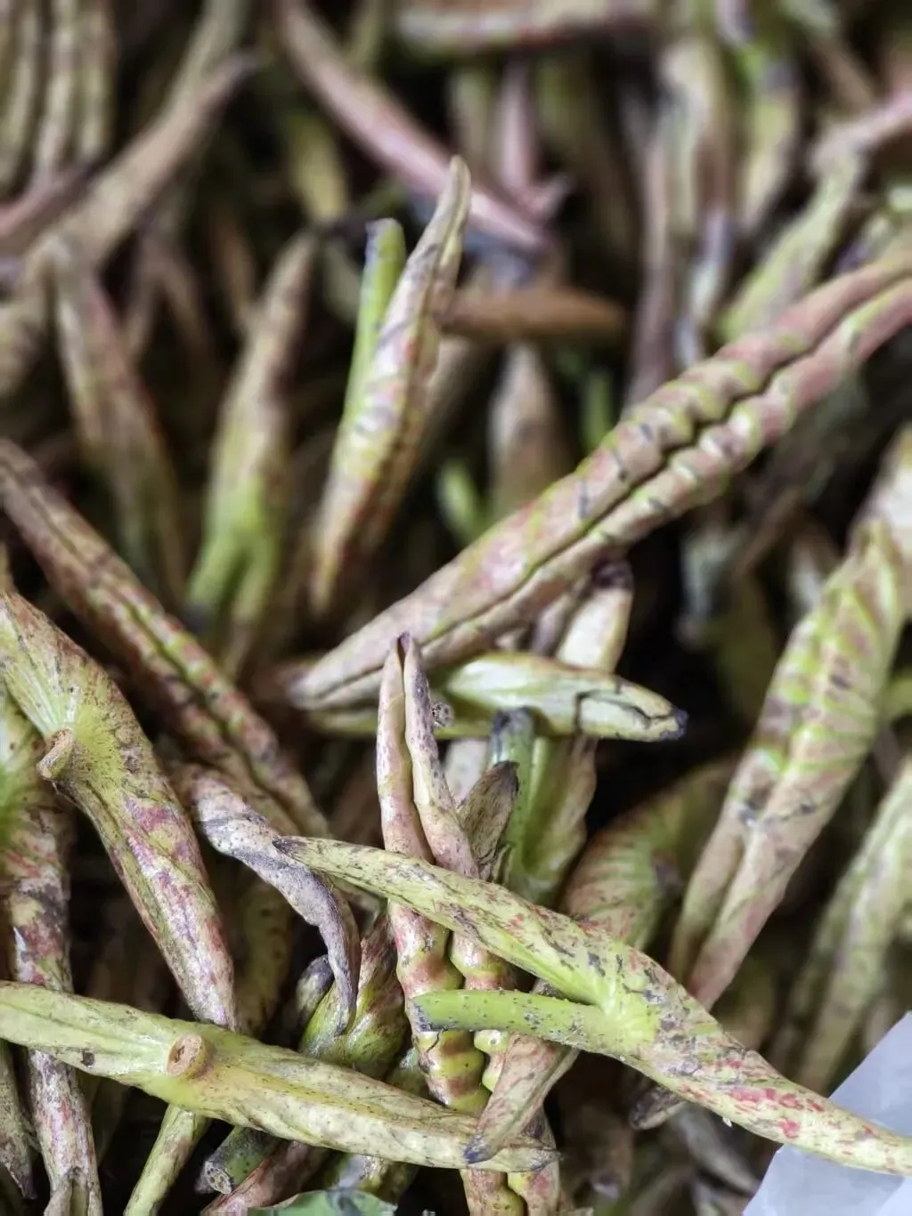 春天里的昆明“篆新农贸市场”